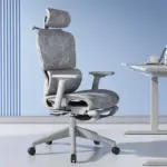 s5ec5de01af4447628e0103b9ed48fc4eg 2.webp